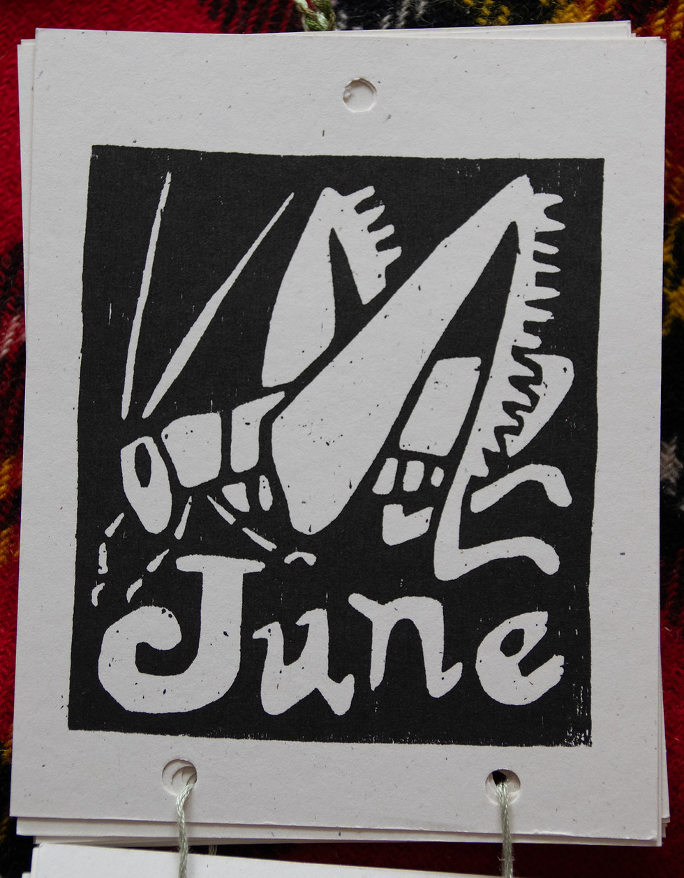 Thumbnail: 2025 Bug Calendar