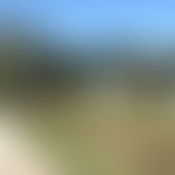 A calling into NEWNESS on 1/3/21