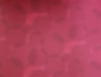 Thumbnail: Bright & Basic 12x12 Paper Pack 156 pages