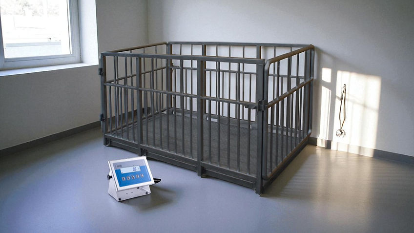 Animales radwag-Photoroom.jpg