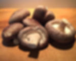 Thumbnail: NZ grown Shiitake mushrooms by Down to Earth Goods