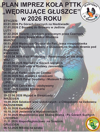 plakat proba ost styczen.jpg