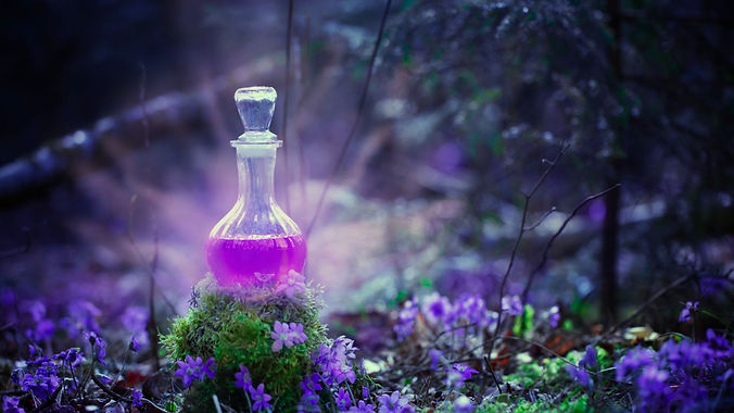 wellness events holistic treatments workshops & products.jpg