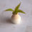 Thumbnail: Decorative vase, White with light brown splatter effec