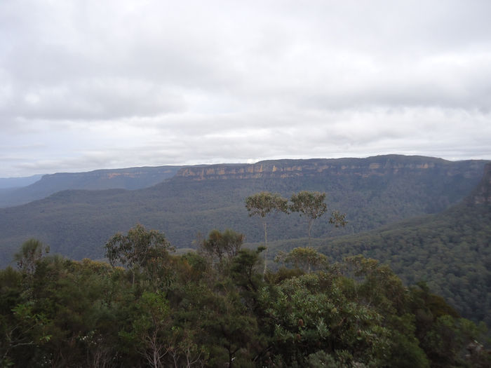 Wanderlust Wednesday: Blue Mountains National Park, Sydney, Australia