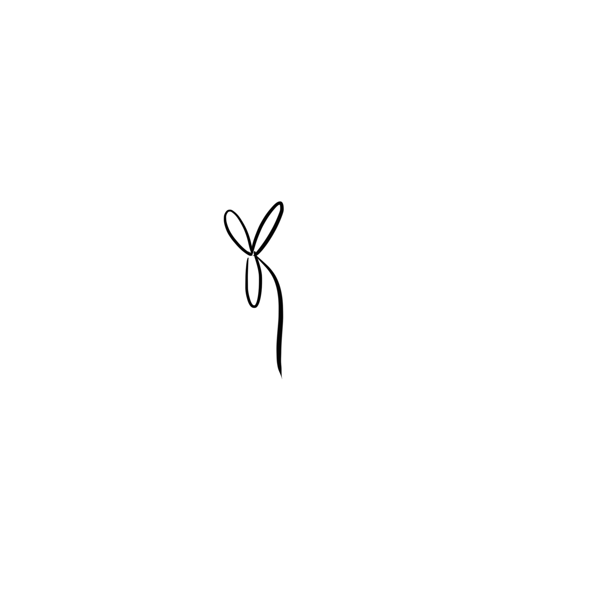 IMG_0170.GIF.gif