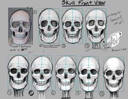 Skull_Front_View.jpg