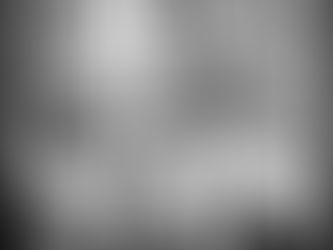 Family Photographer: Capturing Love & Legacy