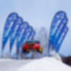 flag-logos-promotional