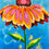Thumbnail: Coneflower on Blue 6x8
