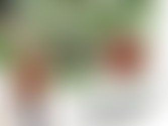 სოციალური პროექტი „იცხოვრე სავსე ცხოვრებით"