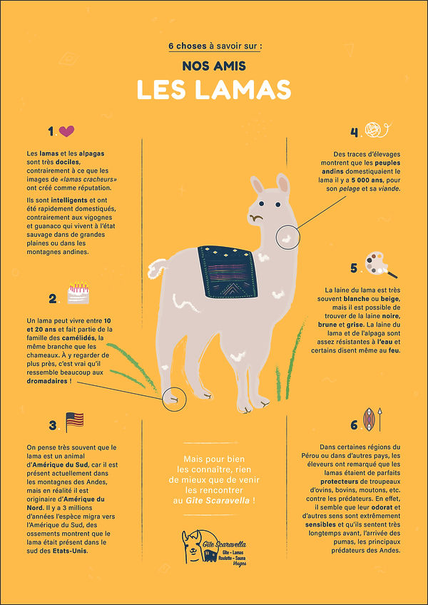 mieux connaitre les lamas