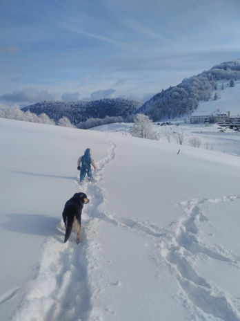 Gite Scaravella - Roulotte - Vosges - Saint Maurice sur Moselle - Rouge Gazon - Neige - Ra