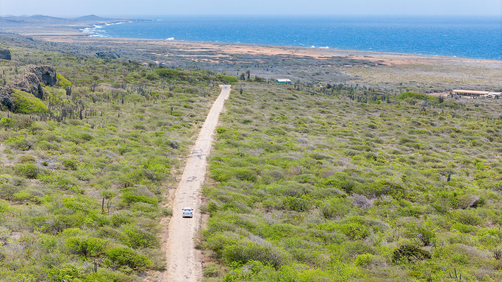 Wide angle view of a compact car driving along a coastal road in Curaçao