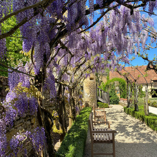 Several benches are sheltered beneath a wisteria-covered tunnel that once marked the site of a former chapel, now lost to time