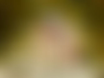 Façade Renaissance du Grand Logis du Château de Losse, en Dordogne. On y distingue les créneaux, merlons et bouches à feu hérités du Moyen Âge, ainsi que les fenêtres à meneaux et la frise à denticules typiques de la Renaissance. L’artisanat de la pierre y révèle tout le savoir-faire des bâtisseurs du XVIᵉ siècle, entre esthétique défensive et raffinement architectural.