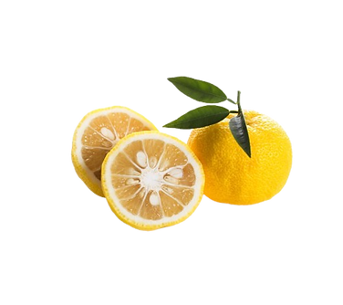 lime-yuzu-exoticfruitscouk-221173-removebg-preview.png
