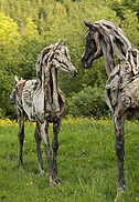 image - 2025-06-26T172003.575.png