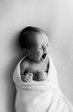 image - 2025-06-26T162746.432.png