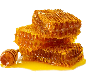What_is_Honey_and_how_is_it_made_A1_Honey_South_Africa-removebg-preview.png