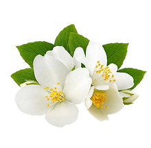 istockphoto-962855070-612x612-removebg-preview.png