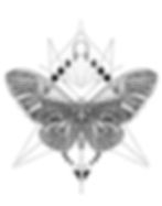 Kendall and Kylie Pacsun Graphic
