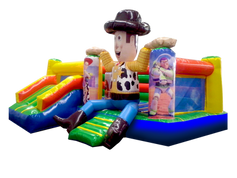 interactivo woody.png