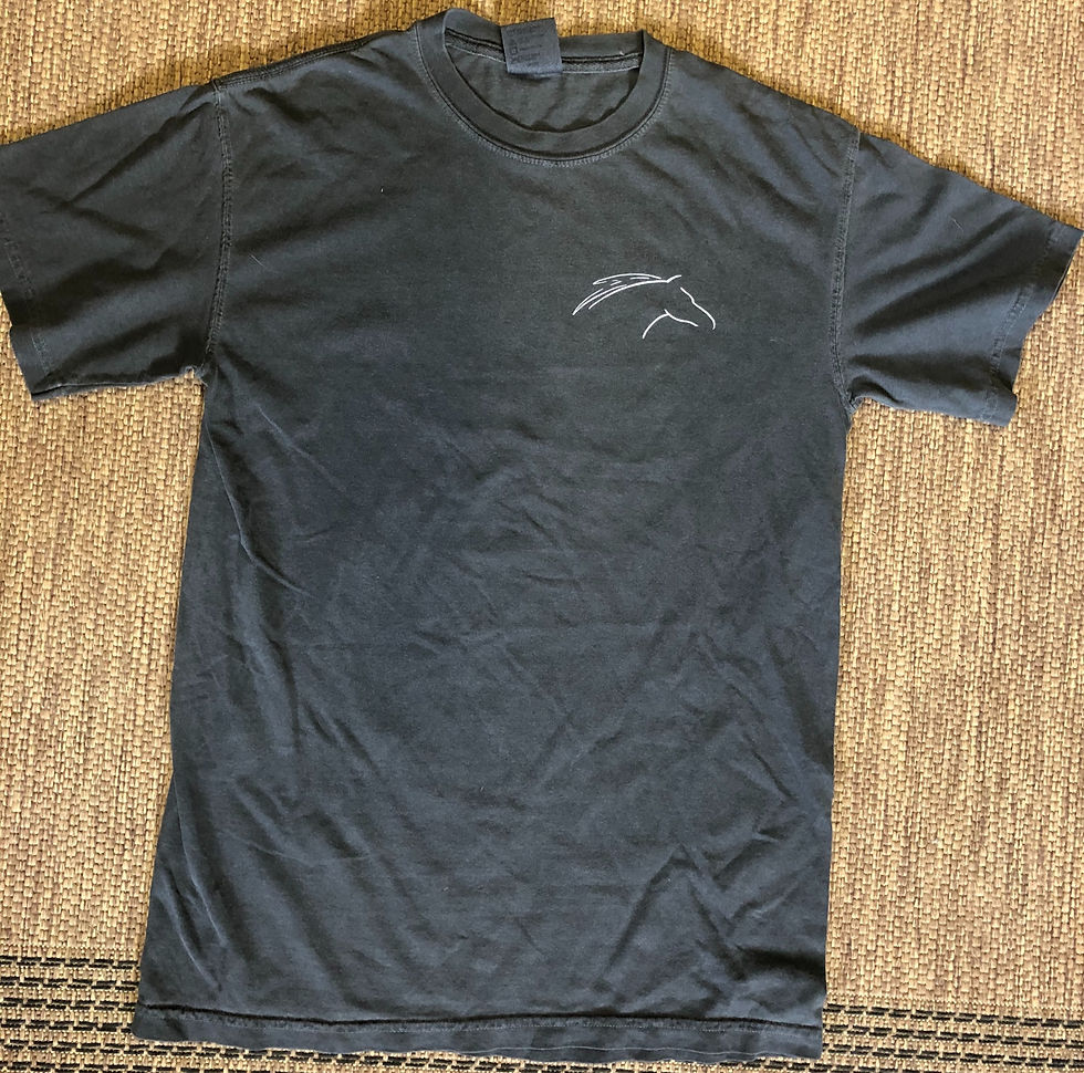 Thumbnail: Adult Shortsleeve T-shirt