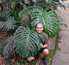 Imagem do WhatsApp de 2025-04-21 à(s) 17.35.28_88a29266.jpg