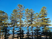 20200905_161120_edited.jpg