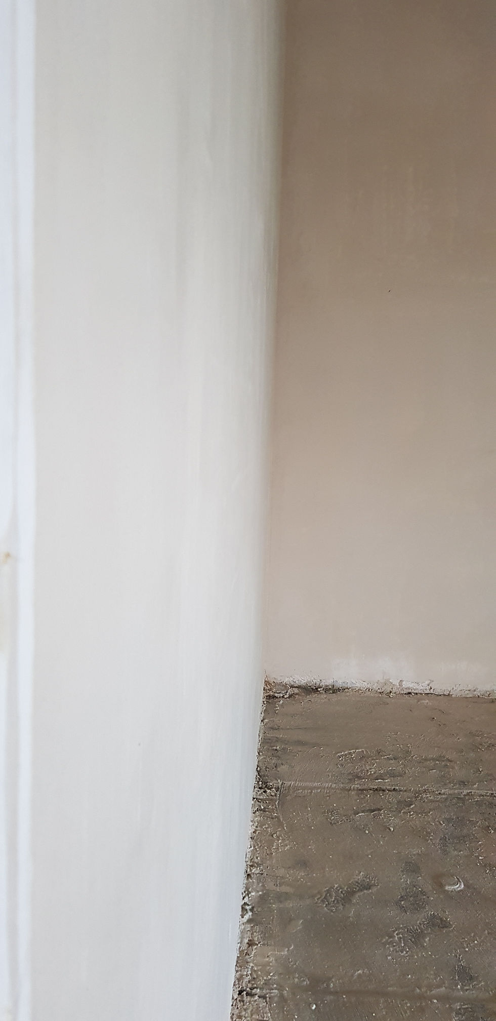 20180806_170306.jpg