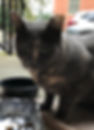 IMG_1219.jpeg