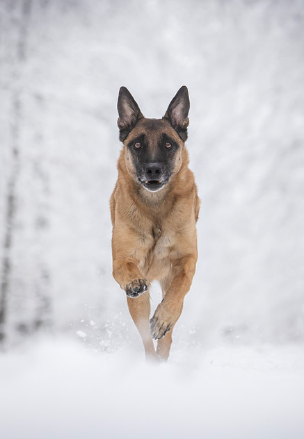 OLSO in the snow