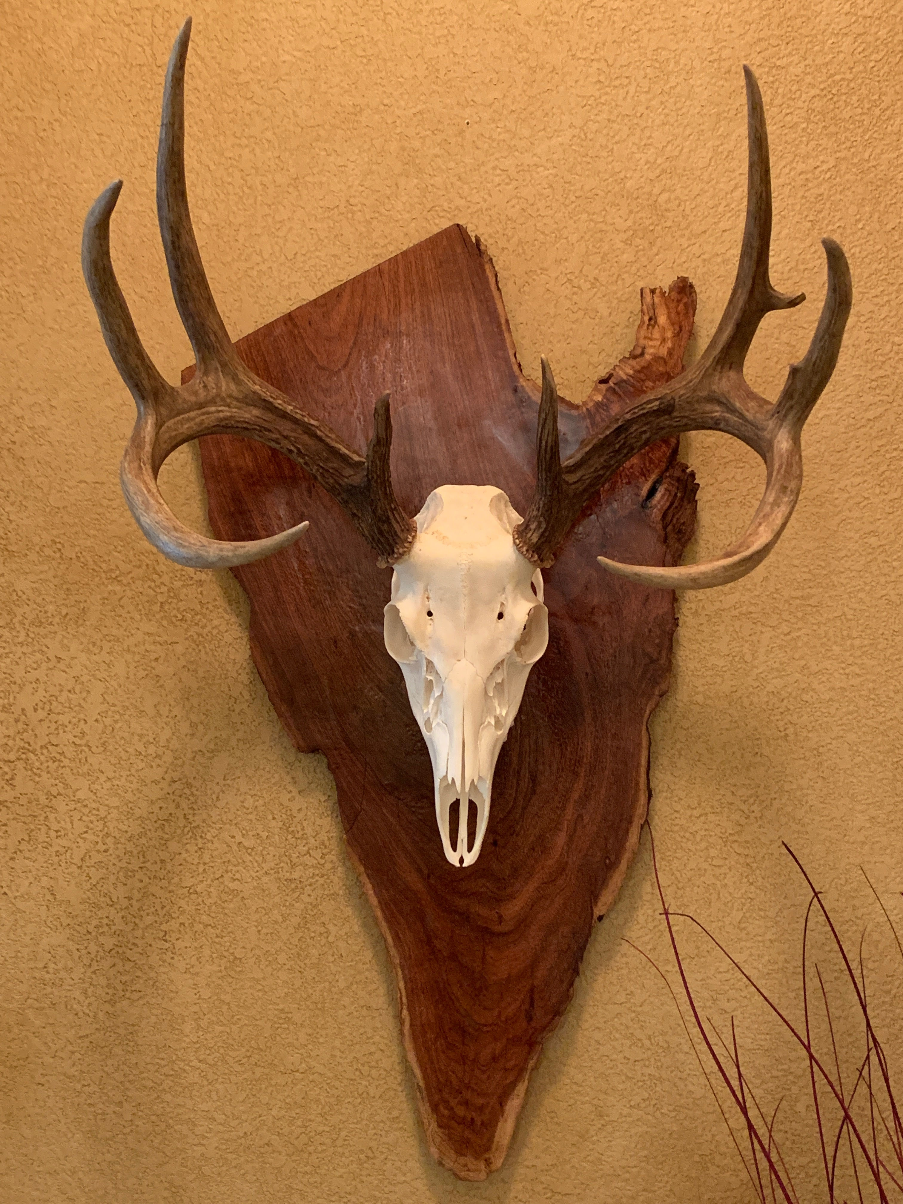 Wooden Wall mount