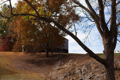 Autumn on My Mountain