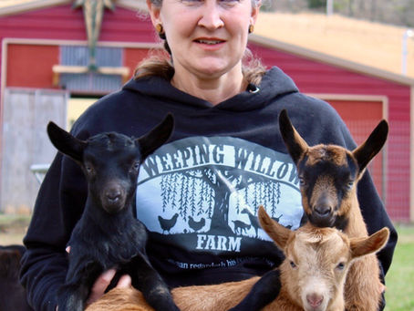 Goat Milk Soap, Anyone?