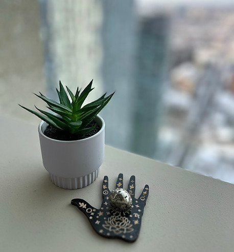 Reunion26_plant1.jpg
