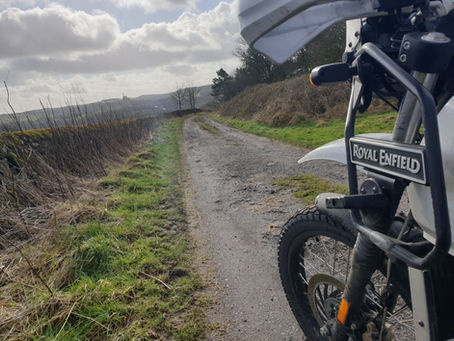 The Year Of Adventure?