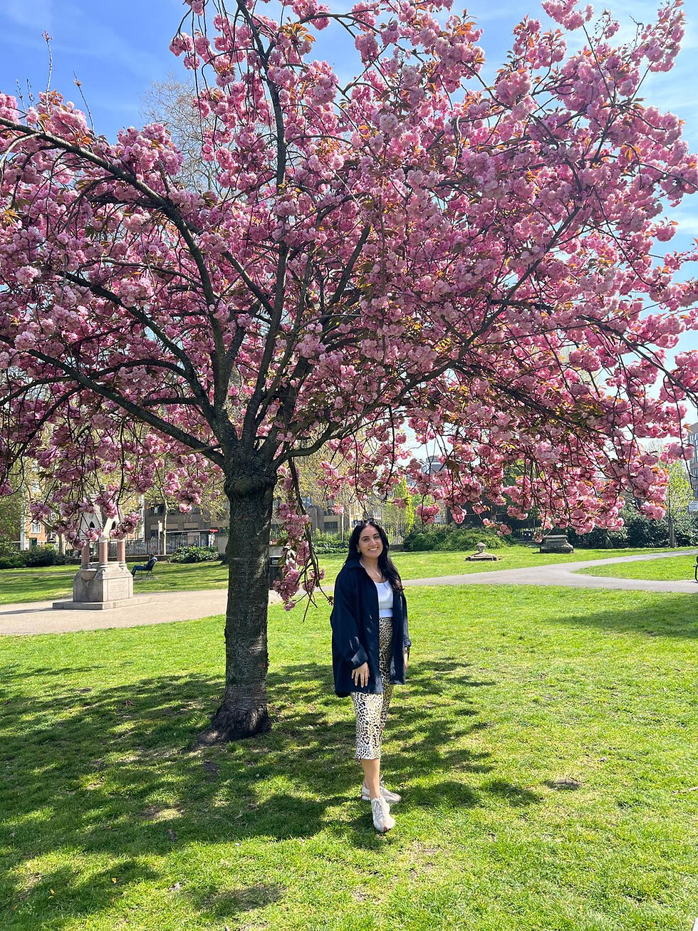 The Year I Chose to Change My Life: A Letter to My Future Self 