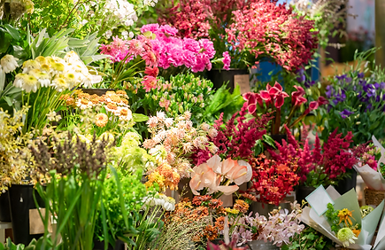 季節の切り花・花鉢のご提案