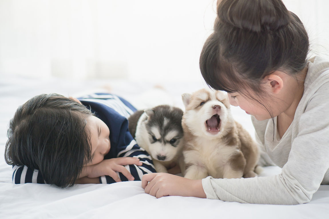 AdobeStock_122947701.jpeg