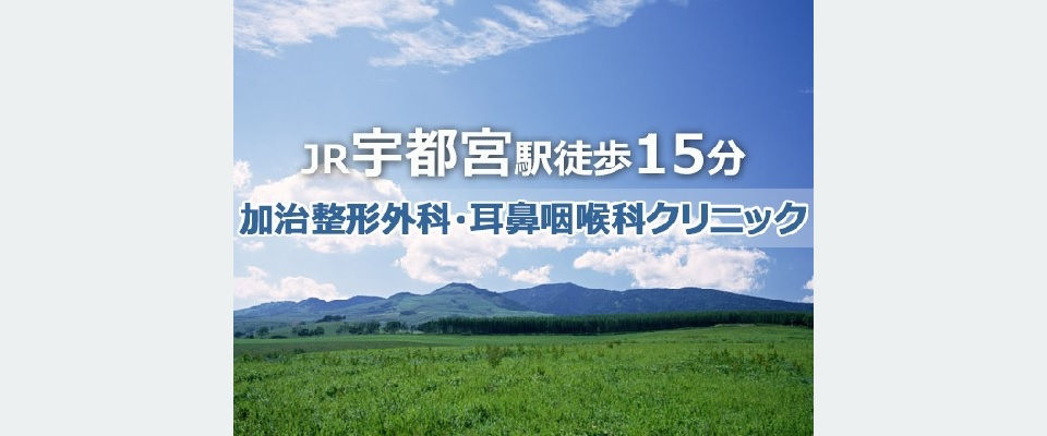 TOP高原