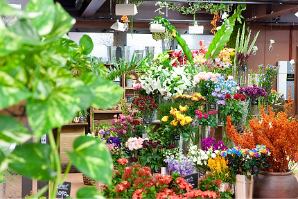 札幌市北区にある生花店です。