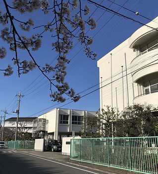 浦和特別支援学校-ててスクール 2.jpg