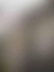 さいたま市桜学園高校　文化祭の様子