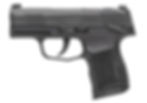 Best Concealed Carry Gun For Women by sig p365