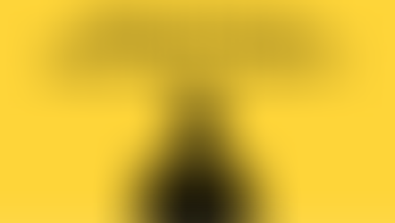 Digital Privacy is REAL WORLD SAFTEY! How to Scrub Your Personal Info Off Google (For Free) A Step by Step Guide