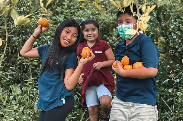 kacs kid oranges.png