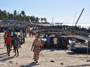 Trying to survive a three-year nightmare in Mozambique