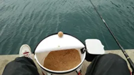 紀州釣り バッカン Club Borderless 紀州釣り バッカン Club Borderless